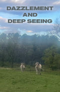 Dazzlement and Deep Seeing: Spring Hills Farm Morning Talk Audio