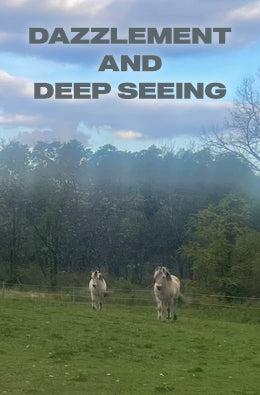 Dazzlement and Deep Seeing: Spring Hills Farm Morning Talk Audio