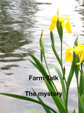 The Mystery: Spring Hills Farm Morning Talk Audio