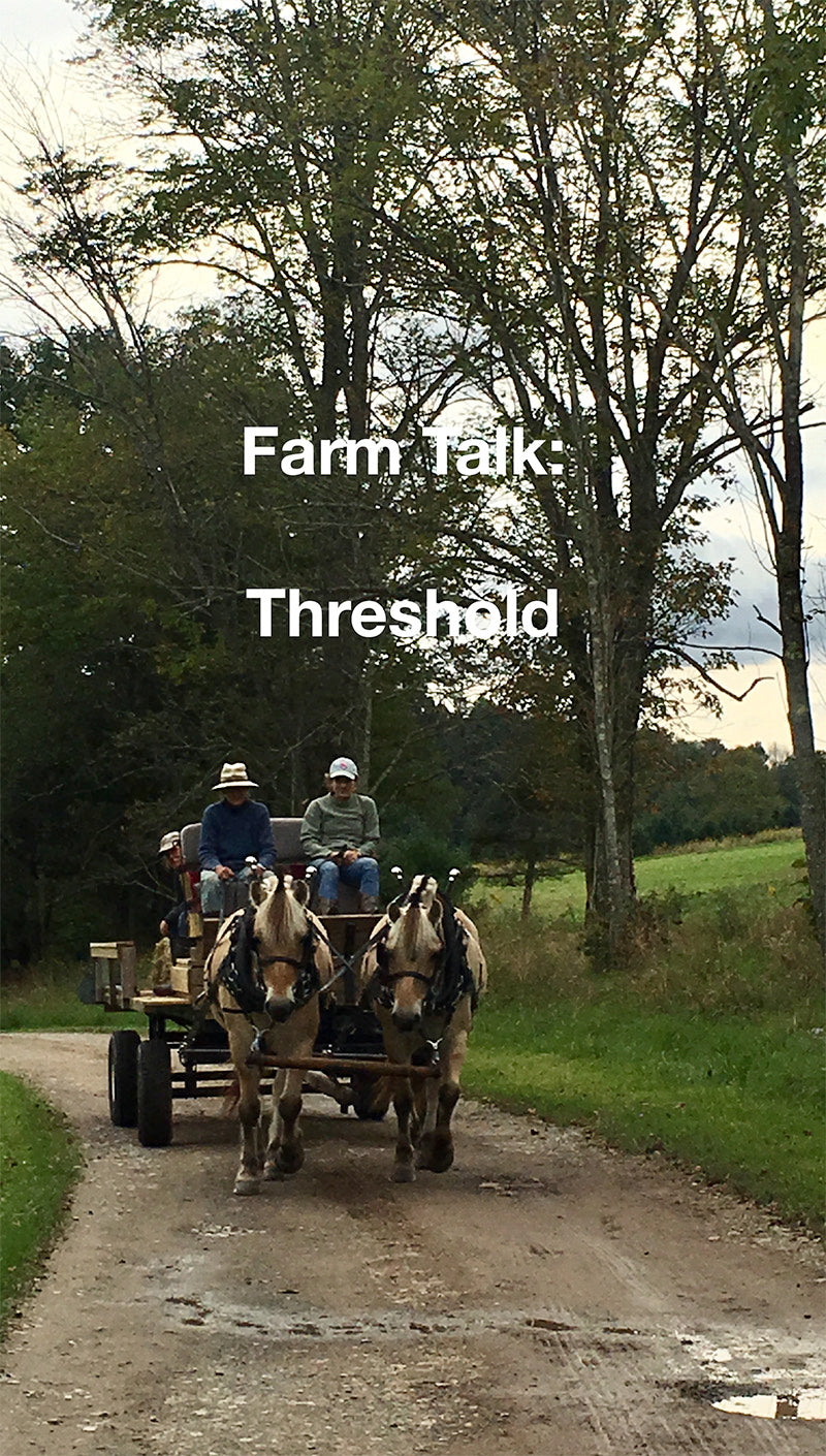 Threshold: Spring Hills Farm Morning Talk Audio
