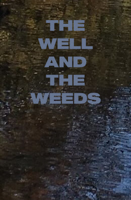The Well and the Weeds: Spring Hills Farm Morning Talk Audio