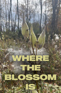 Where the Blossom Is: Spring Hills Farm Morning Talk Audio
