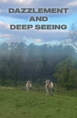 Dazzlement and Deep Seeing